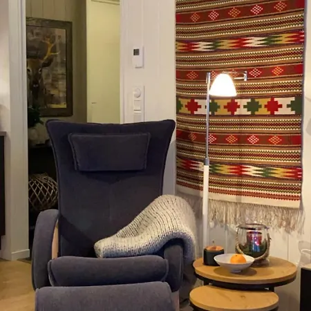 In-ski Out With Mountain View At * Voss