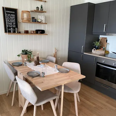 Apartment In-ski Out With Mountain View At Voss