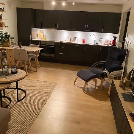 In-ski Out With Mountain View At * Voss