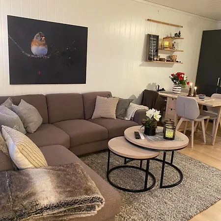 Mountain View Trastolen Apartment *