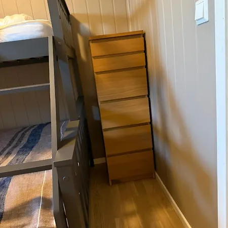 In-ski Out With Mountain View At * Voss