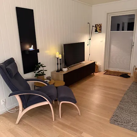 In-ski Out With Mountain View At * Voss