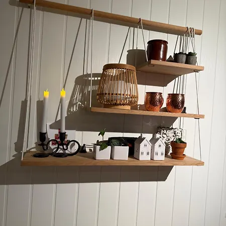 Apartment In-ski Out With Mountain View At Voss